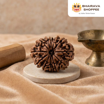 10 Mukhi Nepali Siddh Rudraksha | Rare Krishna Rudraksha for Peace, Protection & Planetary Balance