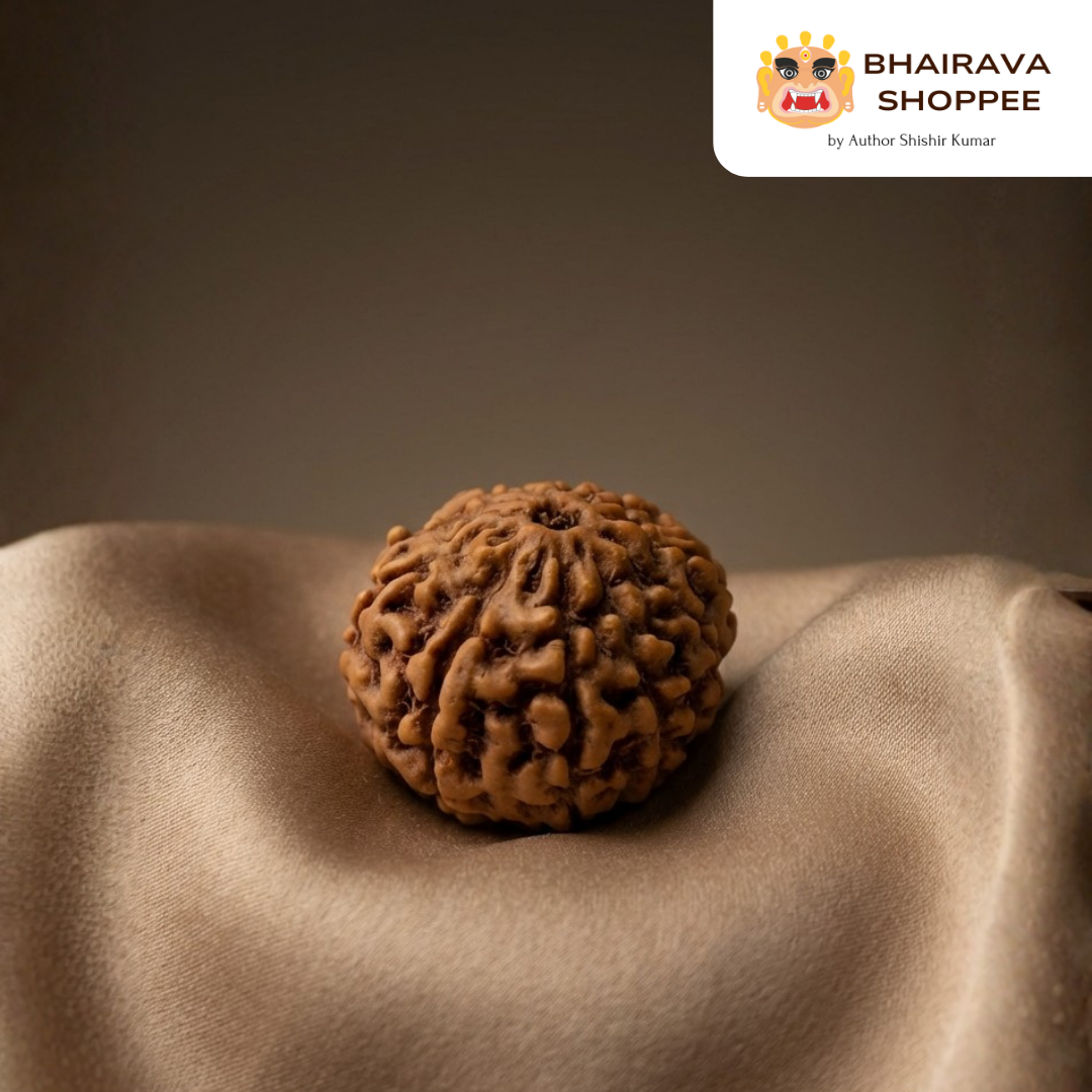 10 Mukhi Indonesian Rudraksha Bead | Siddha by Gurudev Rudranath Ji