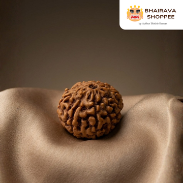 10 Mukhi Indonesian Rudraksha Bead | Siddha by Gurudev Rudranath Ji