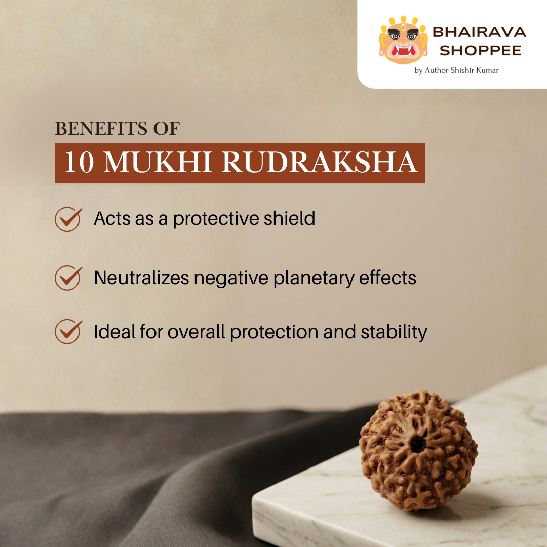 10 Mukhi Indonesian Rudraksha Bead | Siddha by Gurudev Rudranath Ji