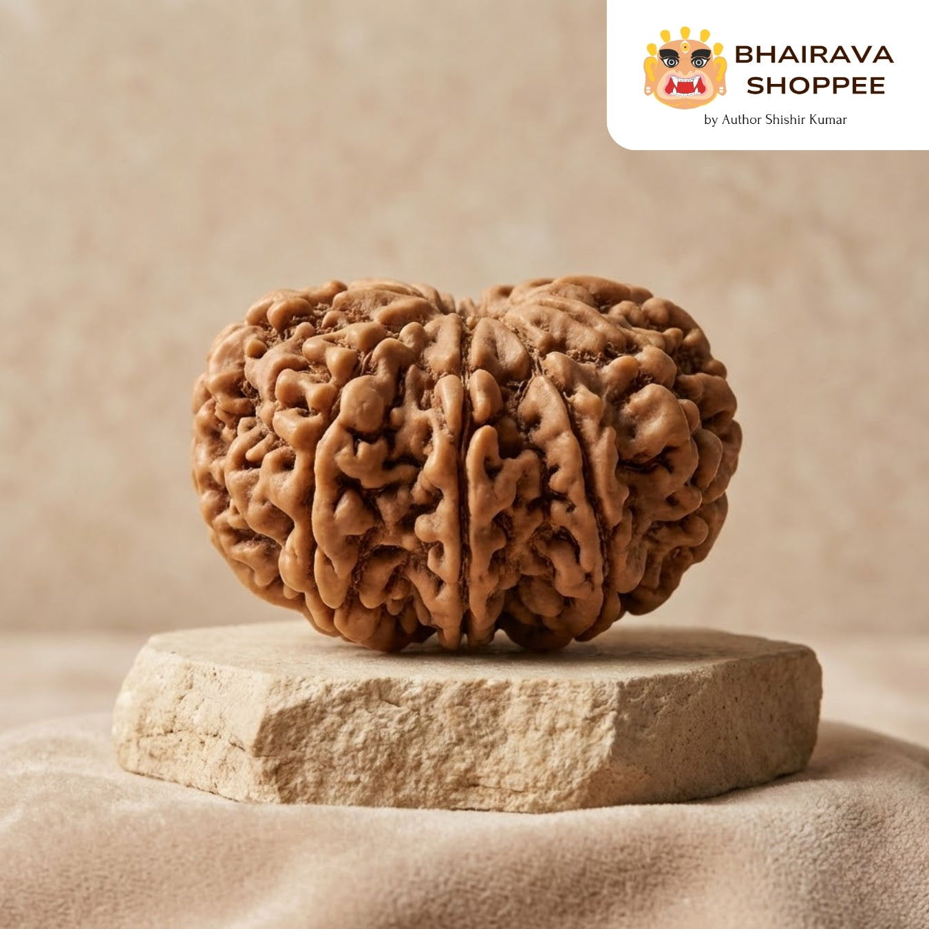 10 Mukhi Nepali Siddh Rudraksha | Rare Krishna Rudraksha for Peace, Protection & Planetary Balance