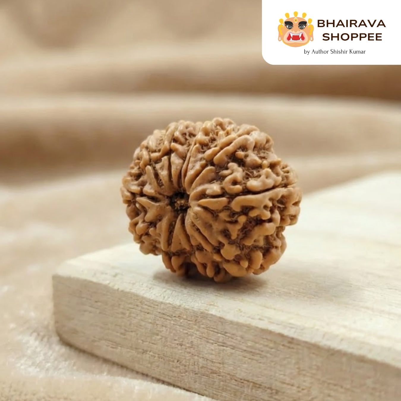 10 Mukhi Nepali Siddh Rudraksha | Rare Krishna Rudraksha for Peace, Protection & Planetary Balance