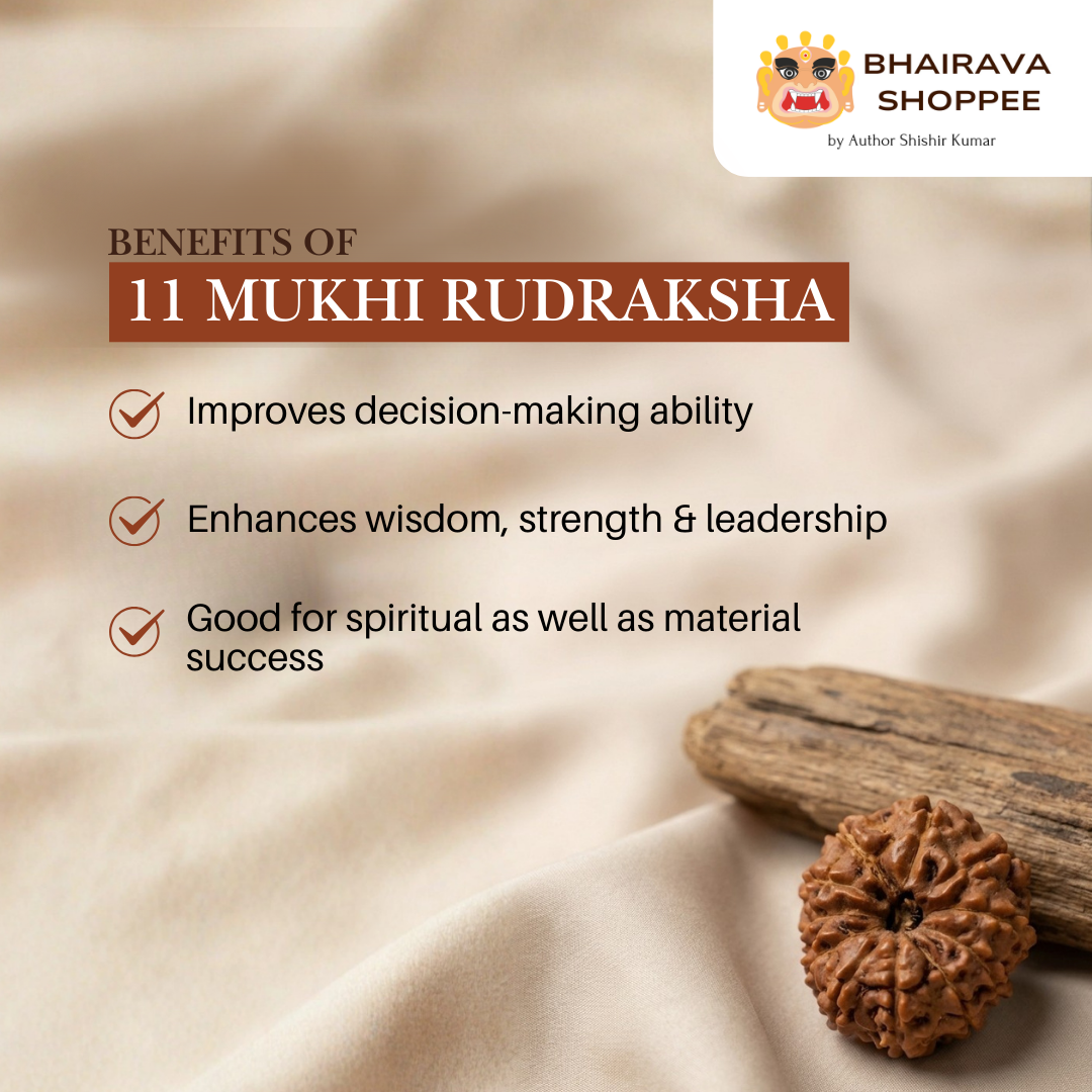 11 Mukhi Indonesian Rudraksha Bead | Siddha by Gurudev Rudranath Ji