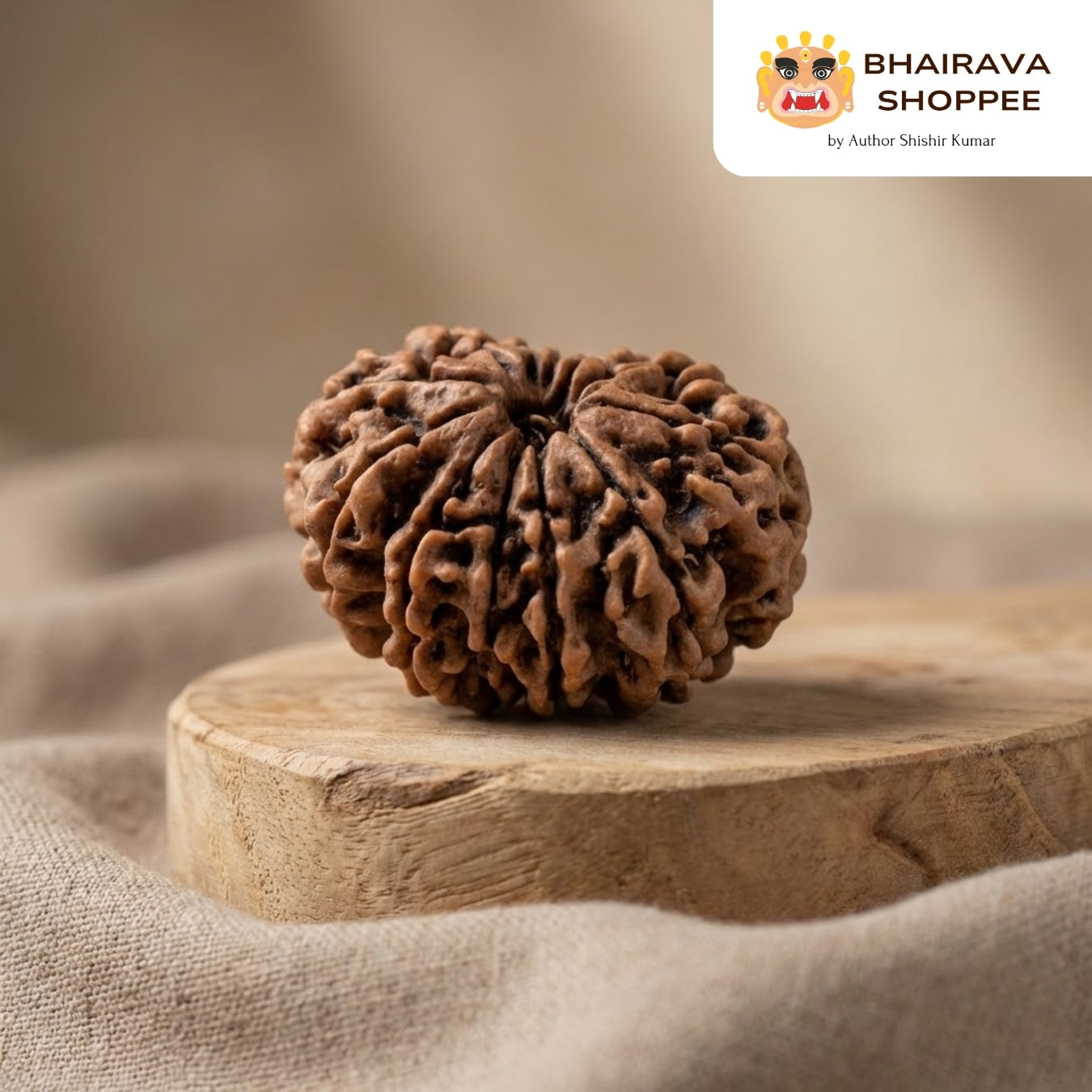 11 Mukhi Nepali Siddh Rudraksha | Rare Rudra Bead for Wisdom, Meditation & Protection
