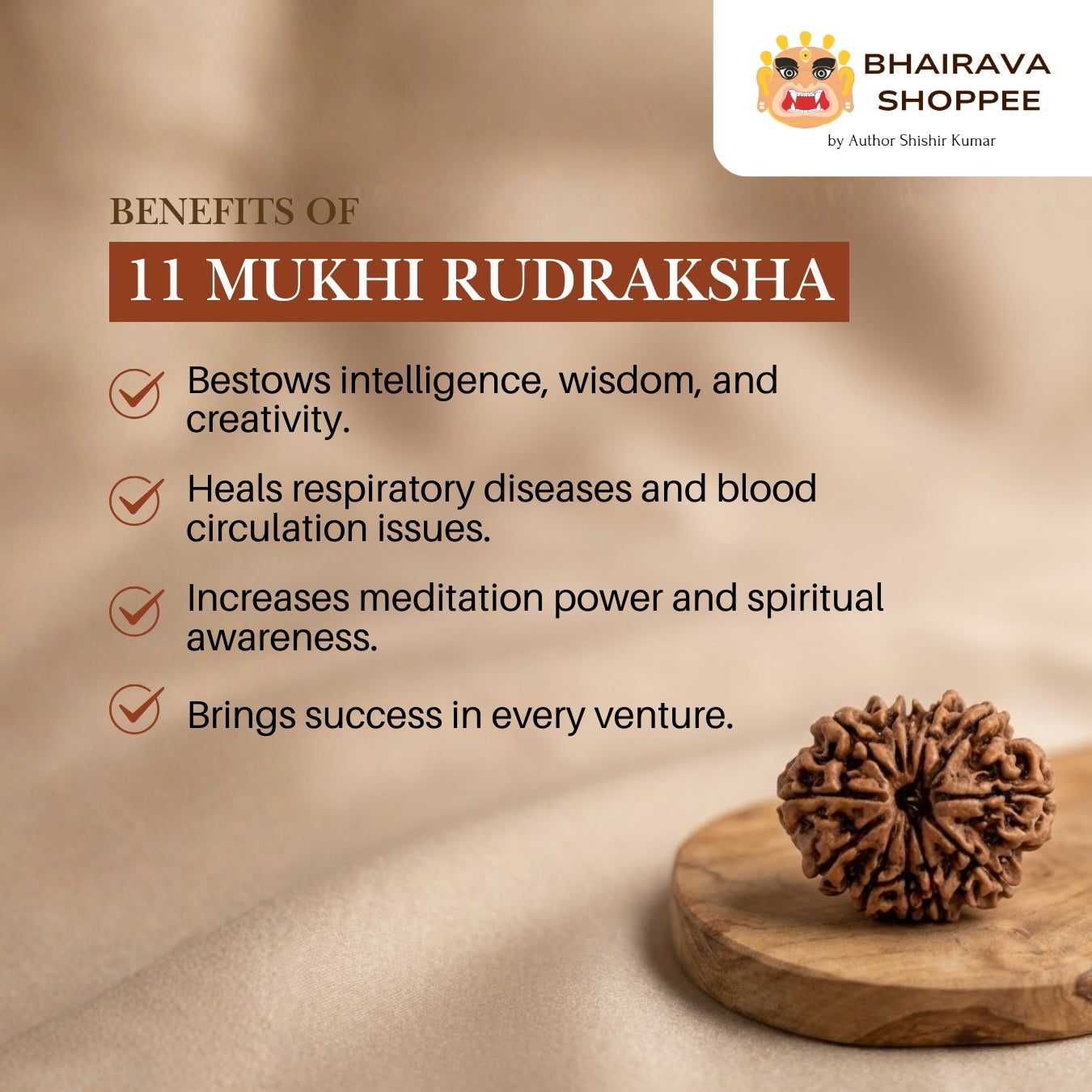 11 Mukhi Nepali Siddh Rudraksha | Rare Rudra Bead for Wisdom, Meditation & Protection