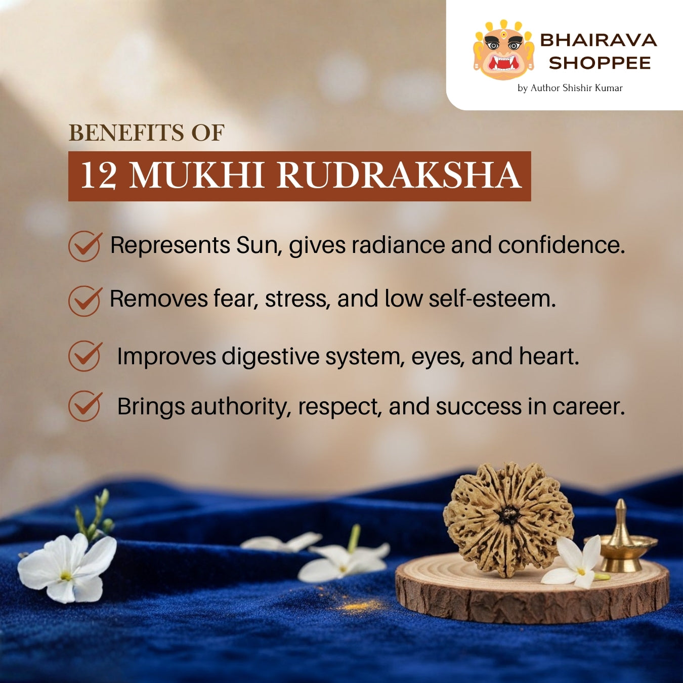 12 Mukhi Nepali Siddh Rudraksha | Rare Surya Rudraksha for Power, Health & Confidence