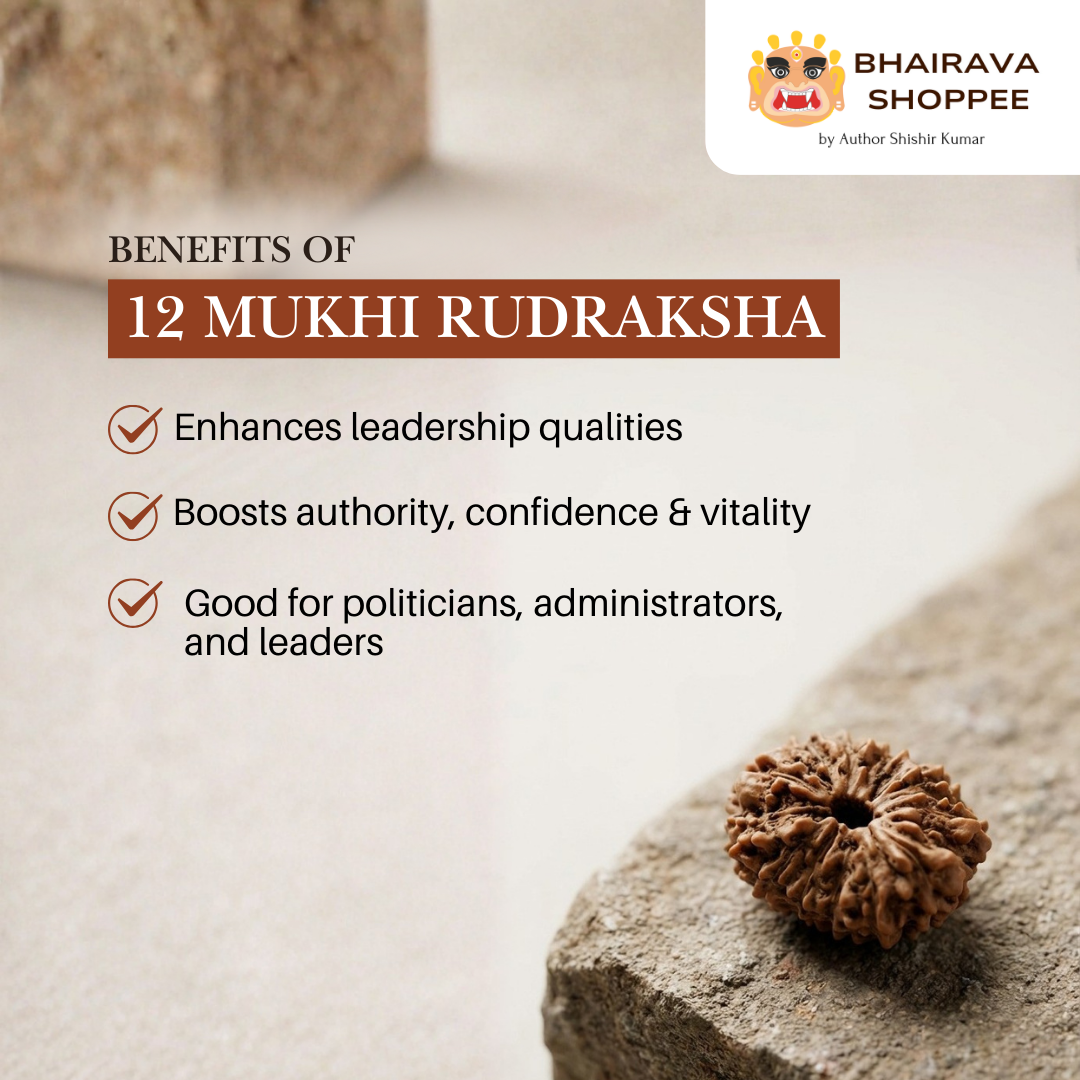 12 Mukhi Indonesian Rudraksha Bead | Siddha by Gurudev Rudranath Ji