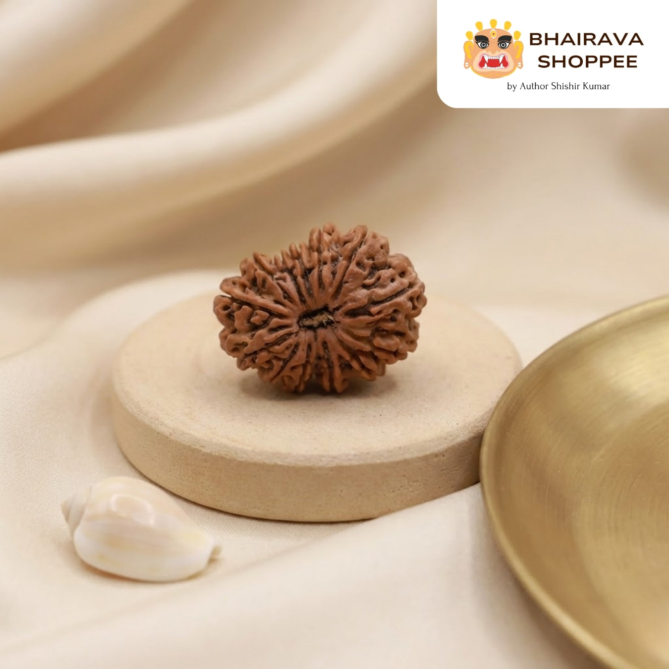 13 Mukhi Nepali Siddh Rudraksha | Rare Kamdev Rudraksha for Attraction & Desire Fulfillment