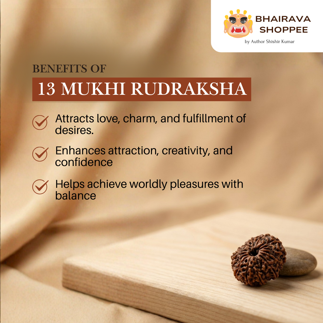13 Mukhi Indonesian Rudraksha Bead | Siddha by Gurudev Rudranath Ji