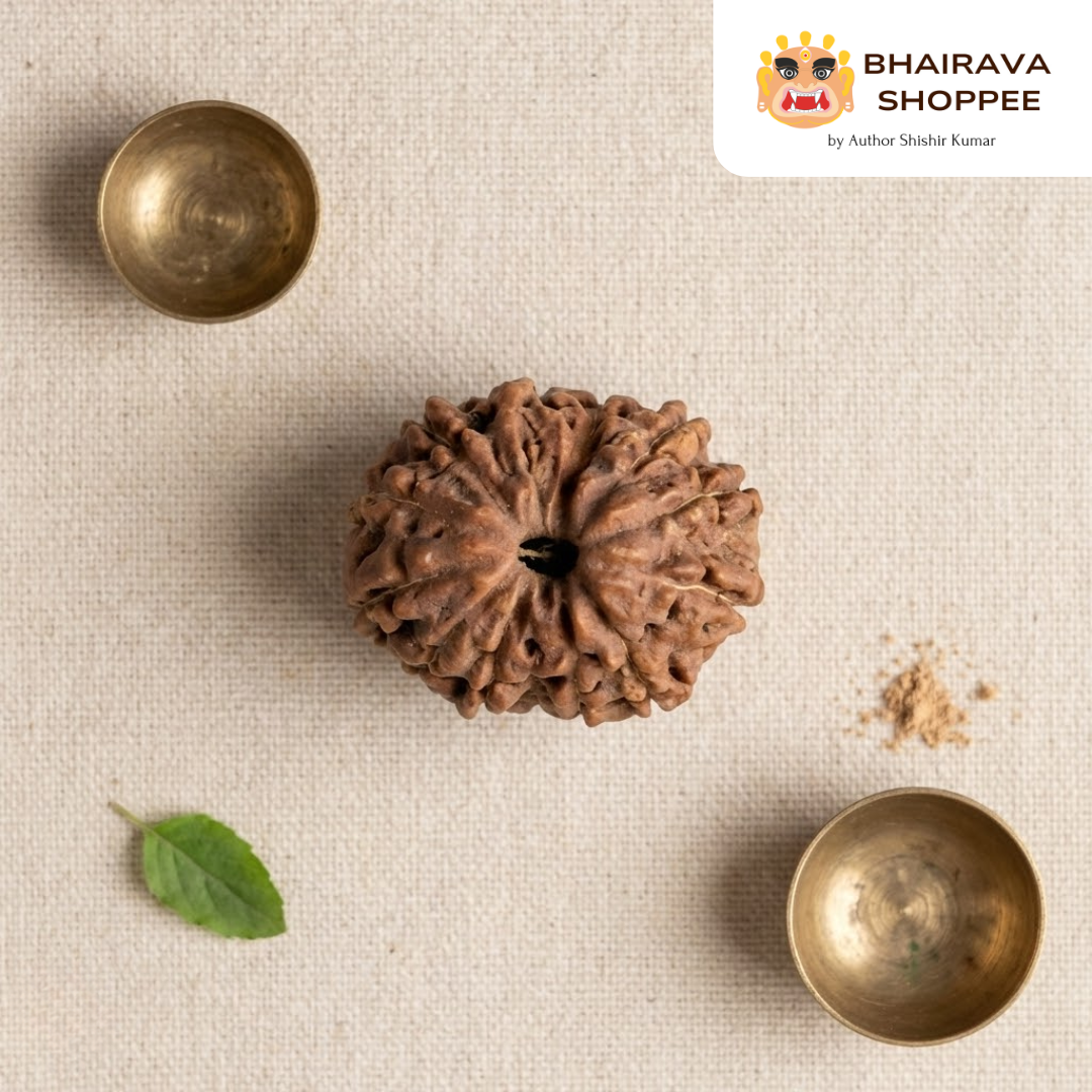 14 Mukhi Indonesian Rudraksha Bead | Siddha by Gurudev Rudranath Ji