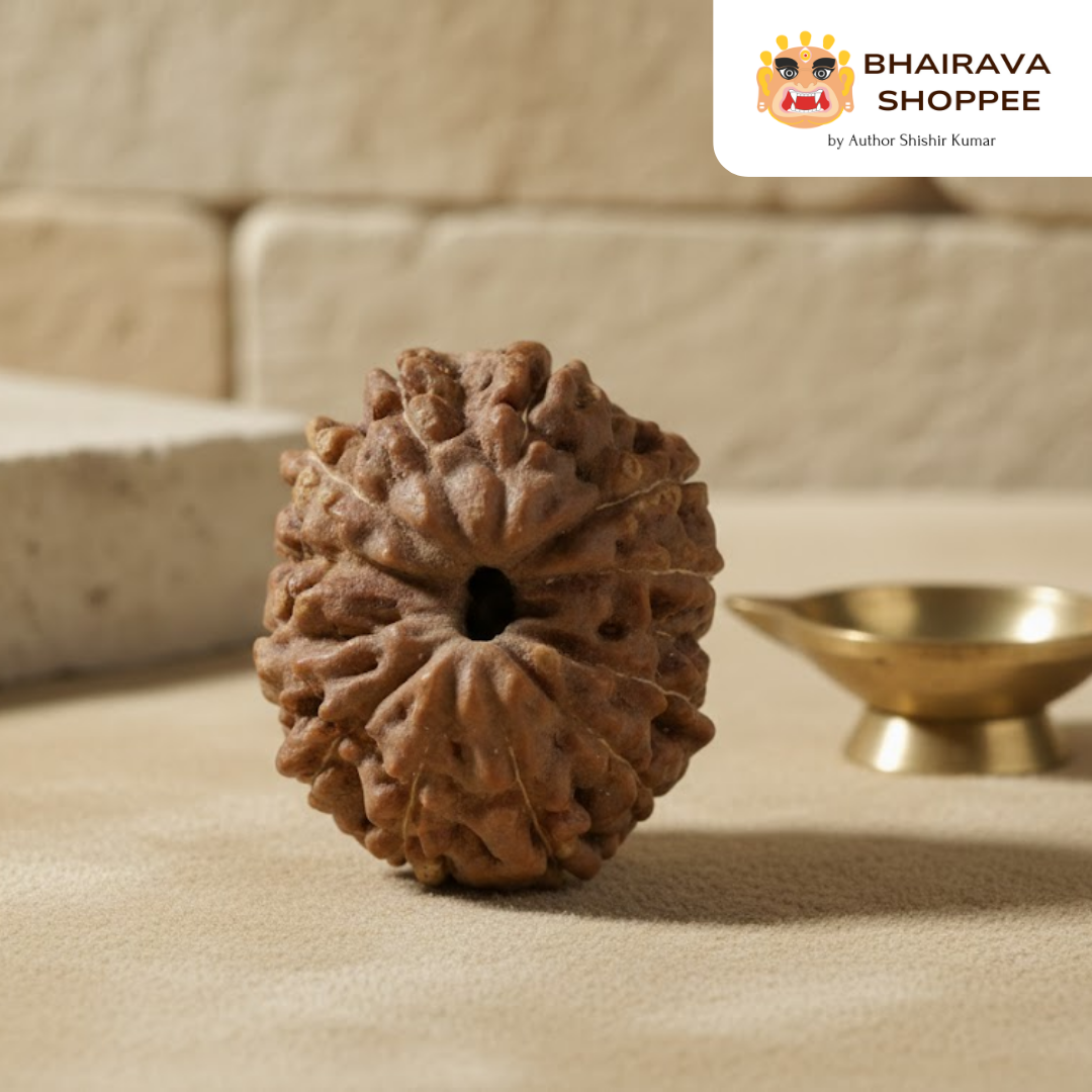 14 Mukhi Indonesian Rudraksha Bead | Siddha by Gurudev Rudranath Ji