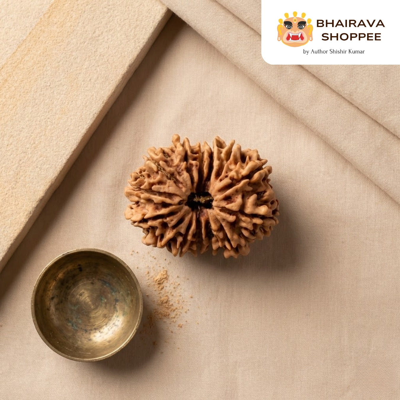 14 Mukhi Nepali Siddh Rudraksha | Rare Hanuman Rudraksha for Protection & Spiritual Growth