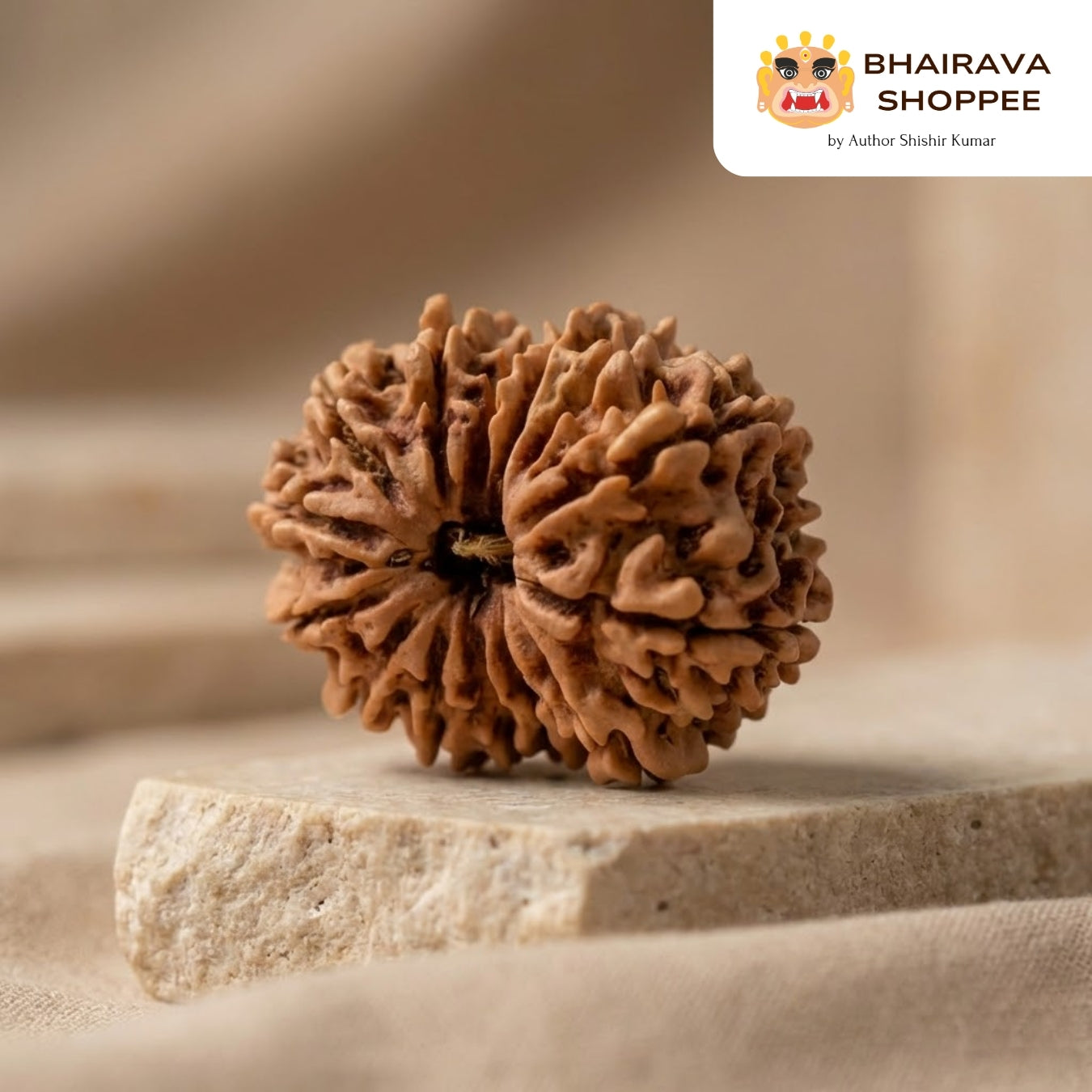 14 Mukhi Nepali Siddh Rudraksha | Rare Hanuman Rudraksha for Protection & Spiritual Growth