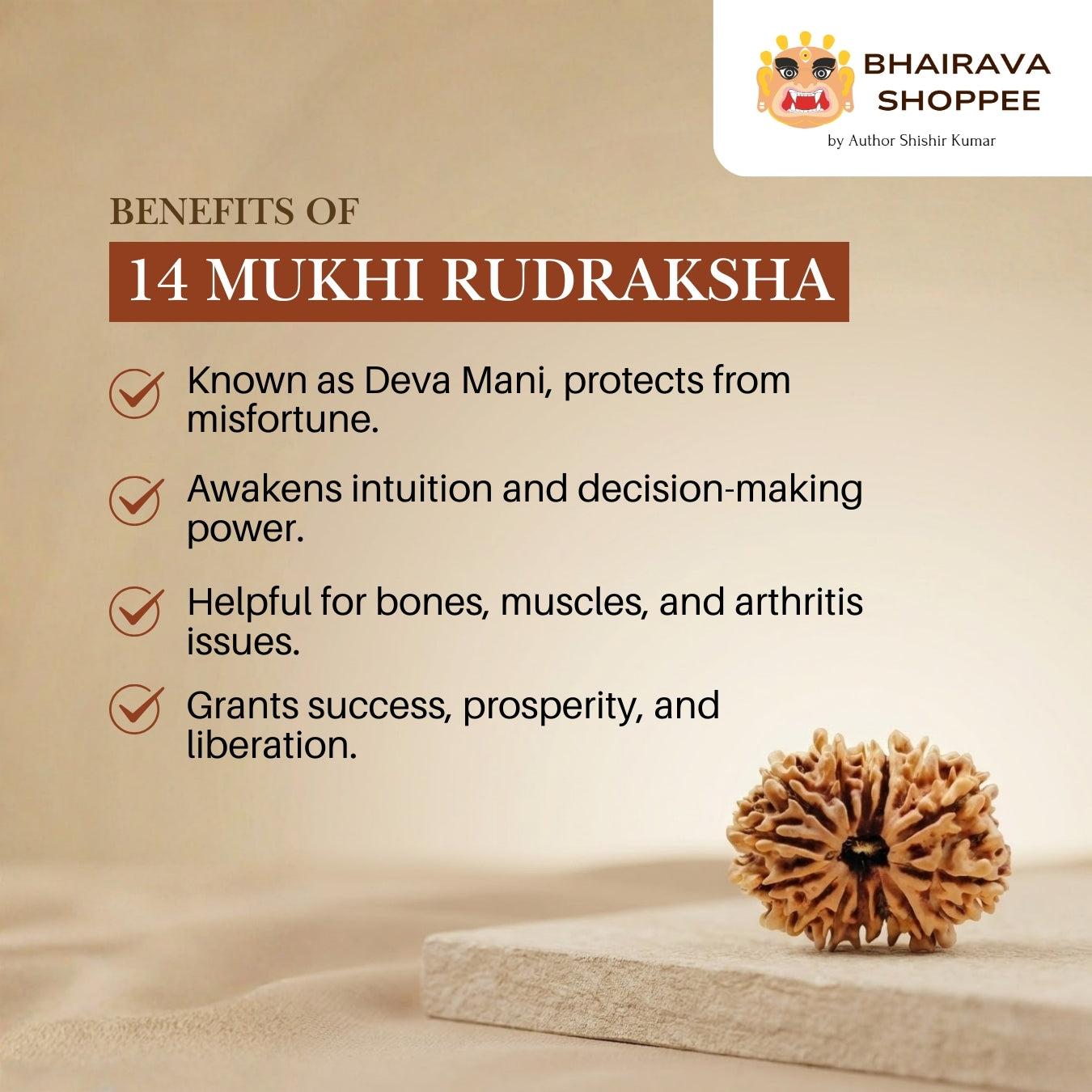 14 Mukhi Nepali Siddh Rudraksha | Rare Hanuman Rudraksha for Protection & Spiritual Growth