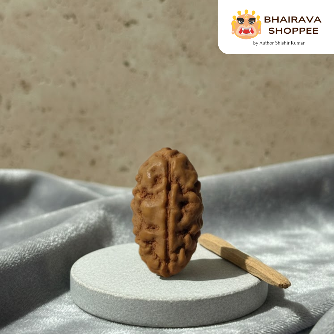 1 Mukhi Indonesian Siddh Rudraksha | Rare Shiva Rudraksha for Enlightenment, Focus & Liberation