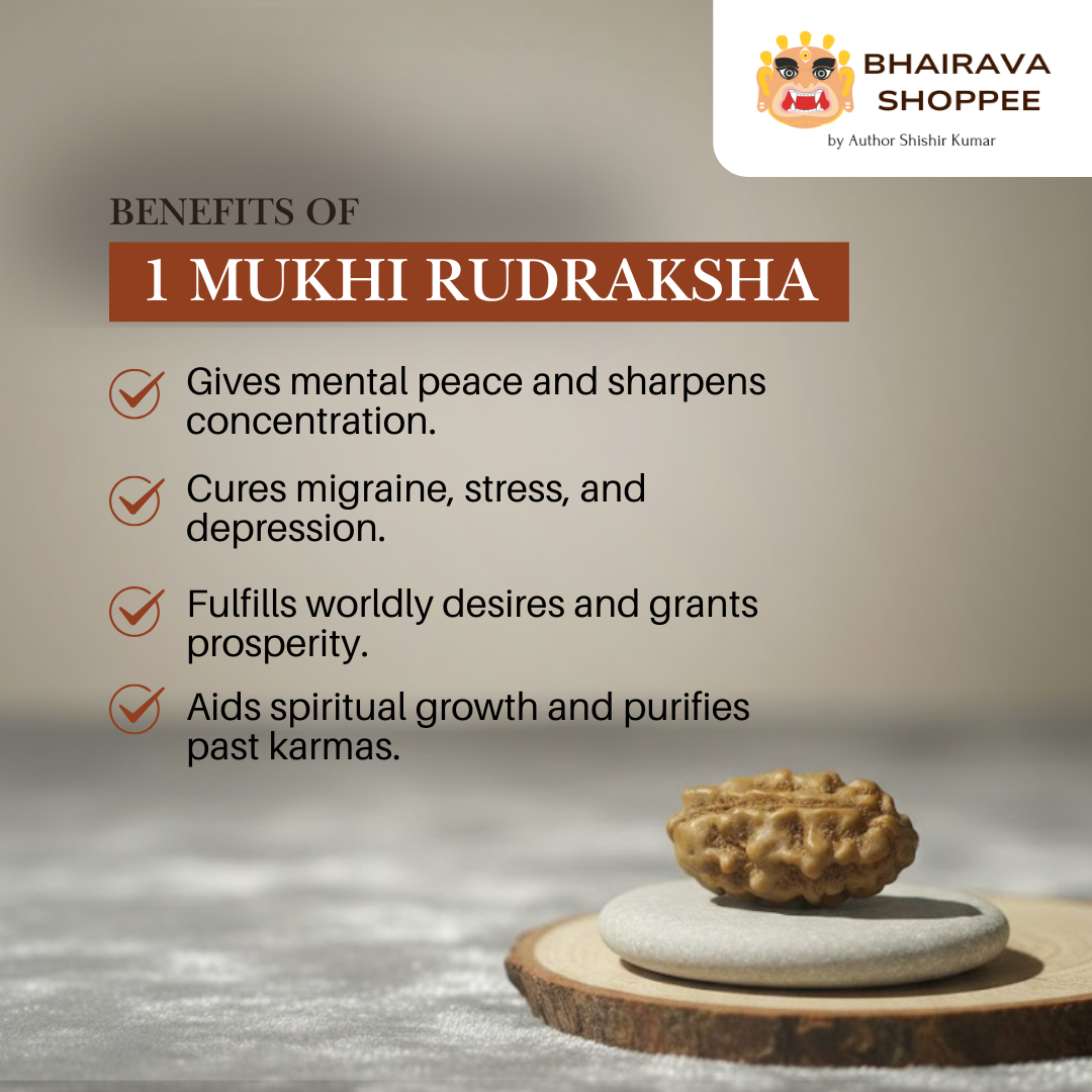 1 Mukhi Indonesian Siddh Rudraksha | Rare Shiva Rudraksha for Enlightenment, Focus & Liberation