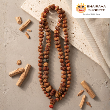14 Mukhi Indonesian Rudraksha Mala – Premium Authentic Rare Rudraksha | Handcrafted Spiritual Jaap Mala