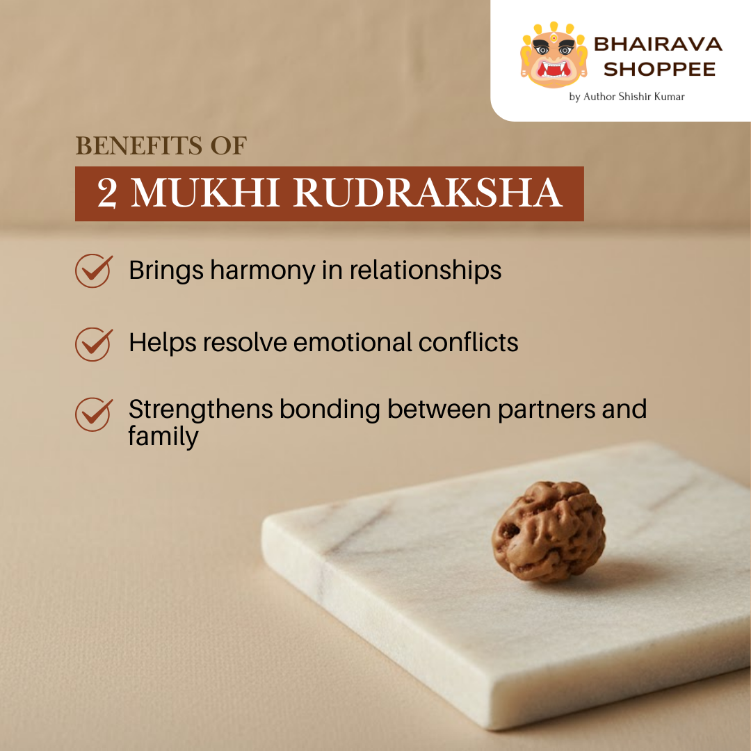 2 Mukhi Indonesian Rudraksha Bead | Siddha by Gurudev Rudranath Ji