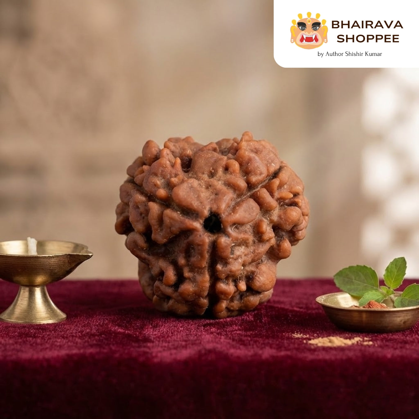 3 Mukhi Nepali Siddh Rudraksha | Agni Rudraksha for Karma Cleansing & Stress Relief