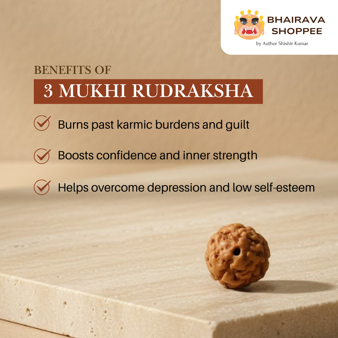 3 Mukhi Indonesian Rudraksha Bead | Siddha by Gurudev Rudranath Ji