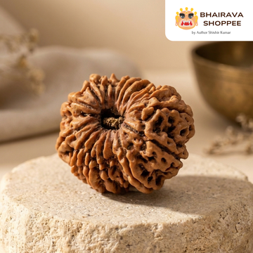 21 Mukhi Indonesian Rudraksha Bead | Natural 21 Faced Rudraksha for Puja, Meditation & Spiritual Practices | Original Indonesian Rudraksha