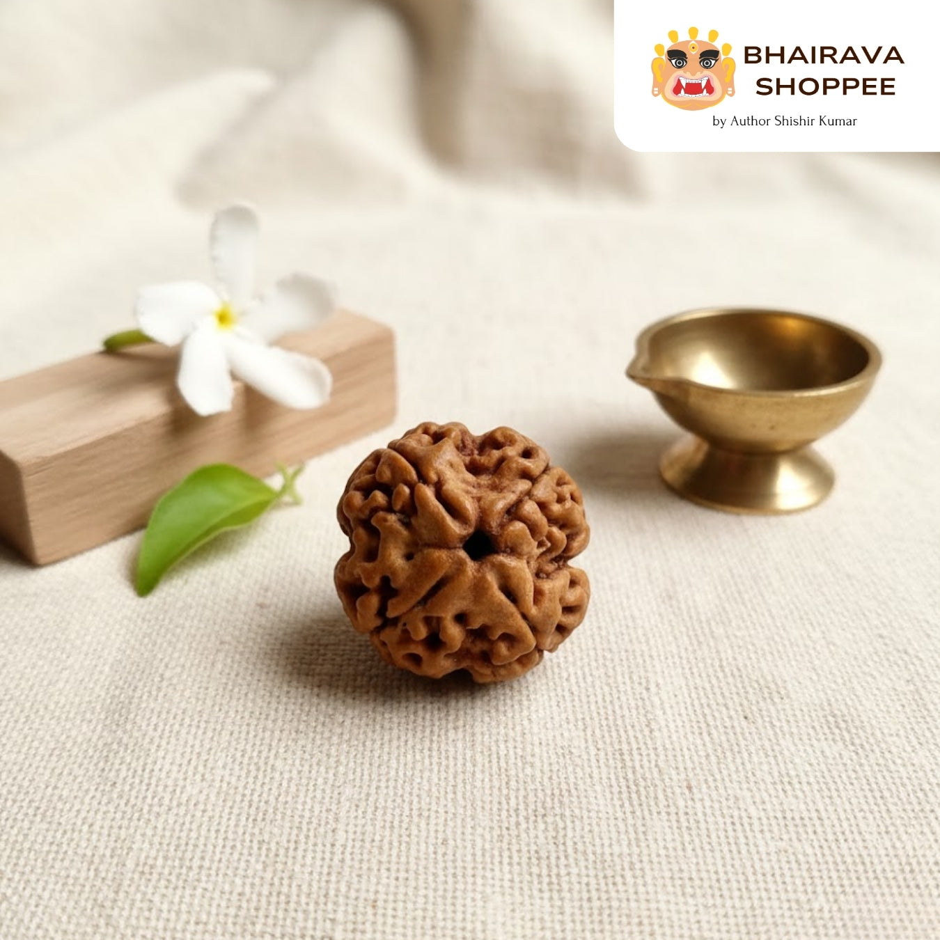 4 Mukhi Nepali Siddh Rudraksha | Brahma Rudraksha for Knowledge & Communication