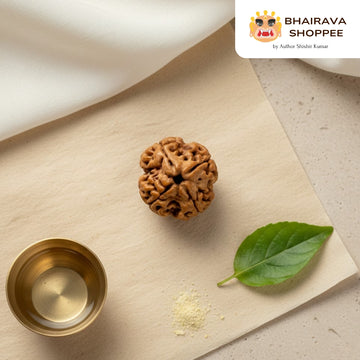 4 Mukhi Nepali Siddh Rudraksha | Brahma Rudraksha for Knowledge & Communication