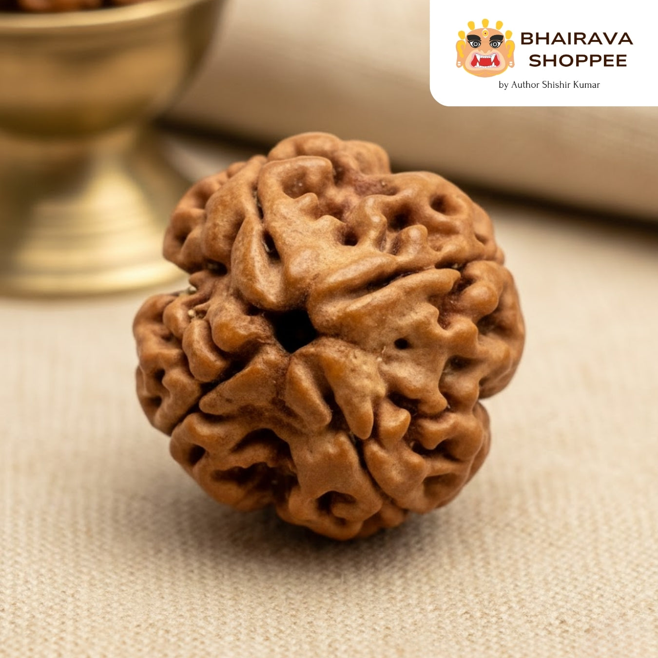 4 Mukhi Nepali Siddh Rudraksha | Brahma Rudraksha for Knowledge & Communication