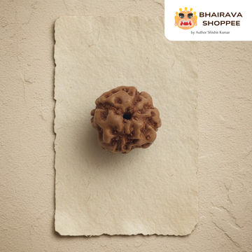 4 Mukhi Indonesian Rudraksha Bead | Siddha by Gurudev Rudranath Ji