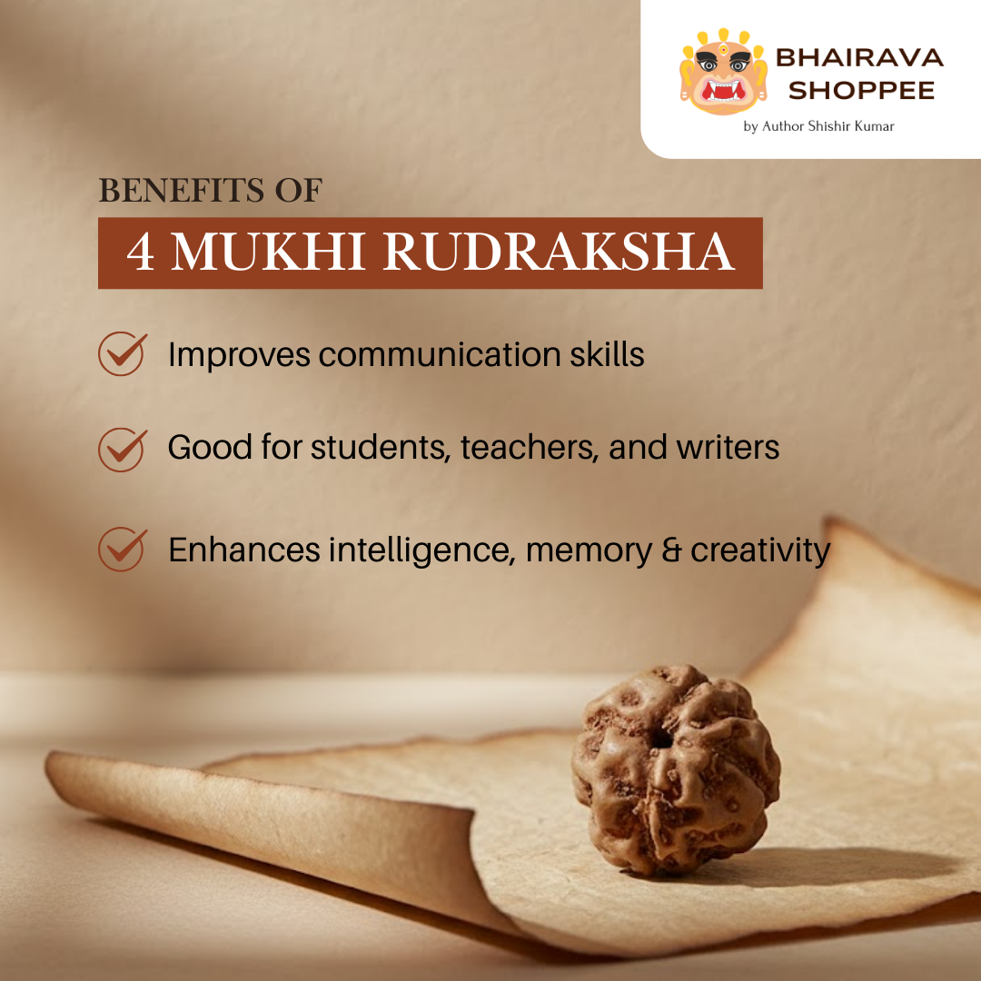 4 Mukhi Indonesian Rudraksha Bead | Siddha by Gurudev Rudranath Ji