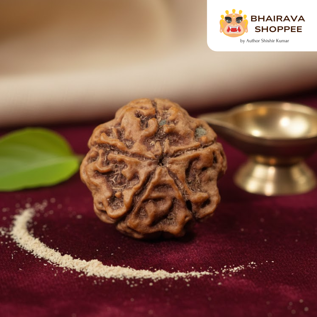 5 Mukhi Nepali Siddh Rudraksha | Kalagni Rudra Bead for Peace, Intellect & Awareness