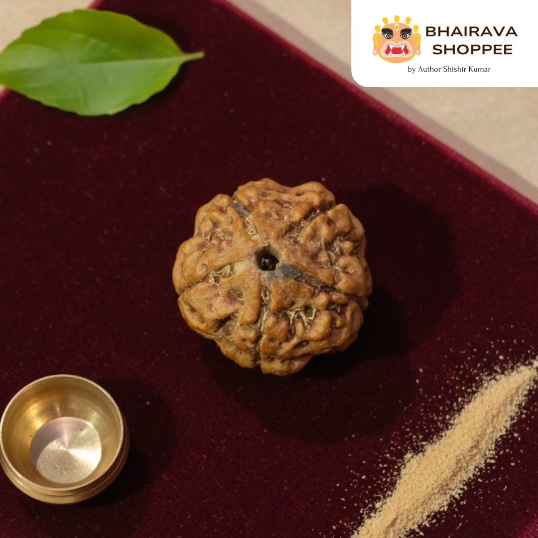 5 Mukhi Nepali Siddh Rudraksha | Kalagni Rudra Bead for Peace, Intellect & Awareness