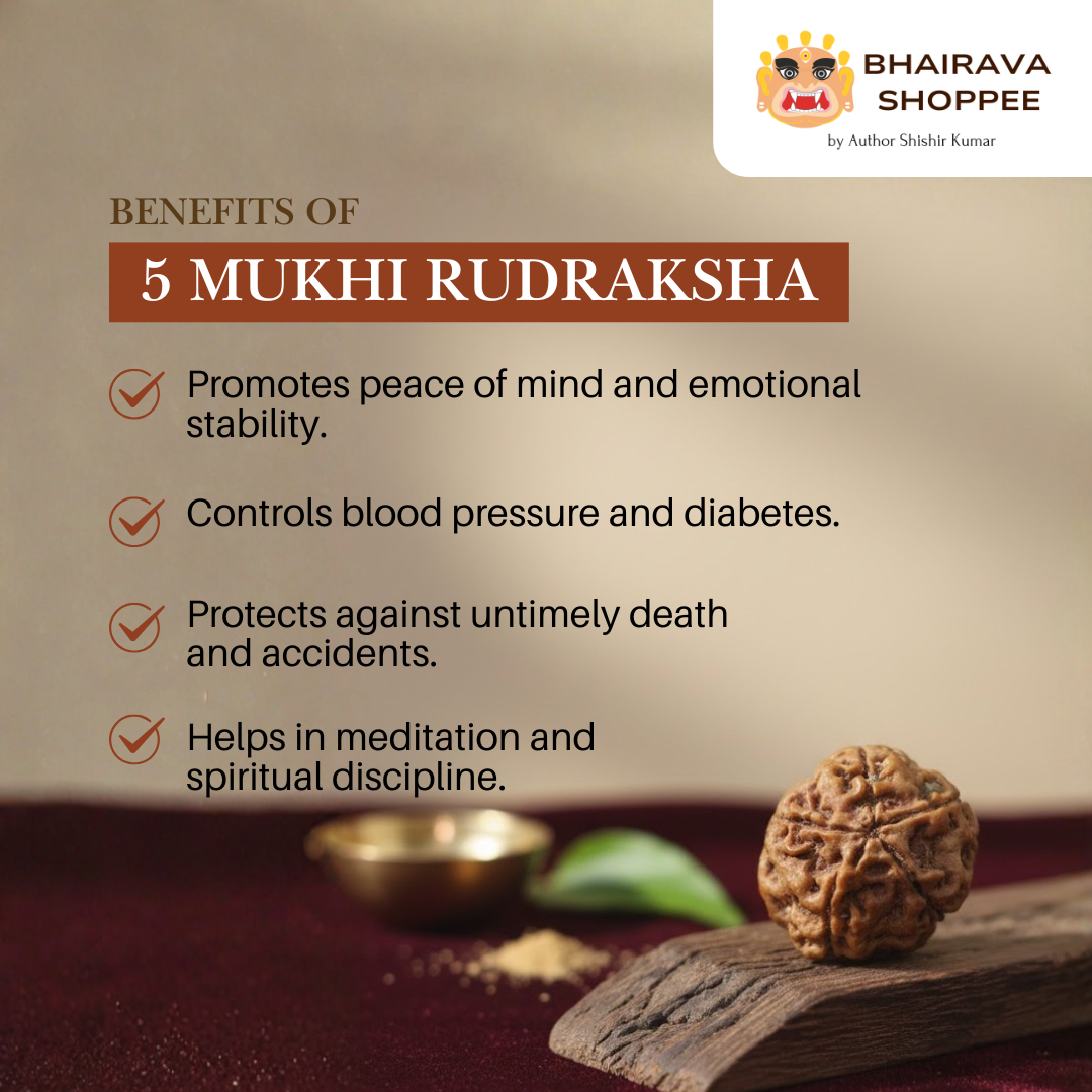 5 Mukhi Nepali Siddh Rudraksha | Kalagni Rudra Bead for Peace, Intellect & Awareness