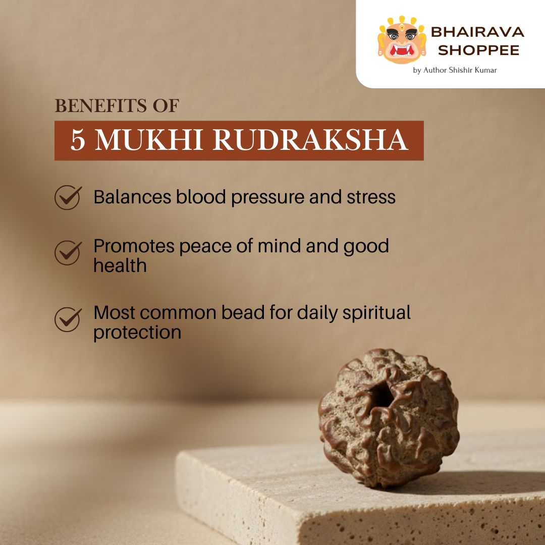 5 Mukhi Indonesian Rudraksha Bead | Siddha by Gurudev Rudranath Ji