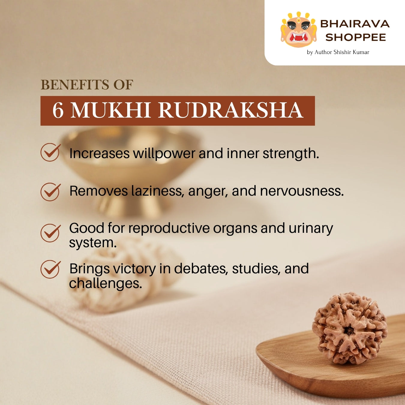 6 Mukhi Nepali Siddh Rudraksha | Kartikeya Rudraksha for Willpower, Focus & Grounding