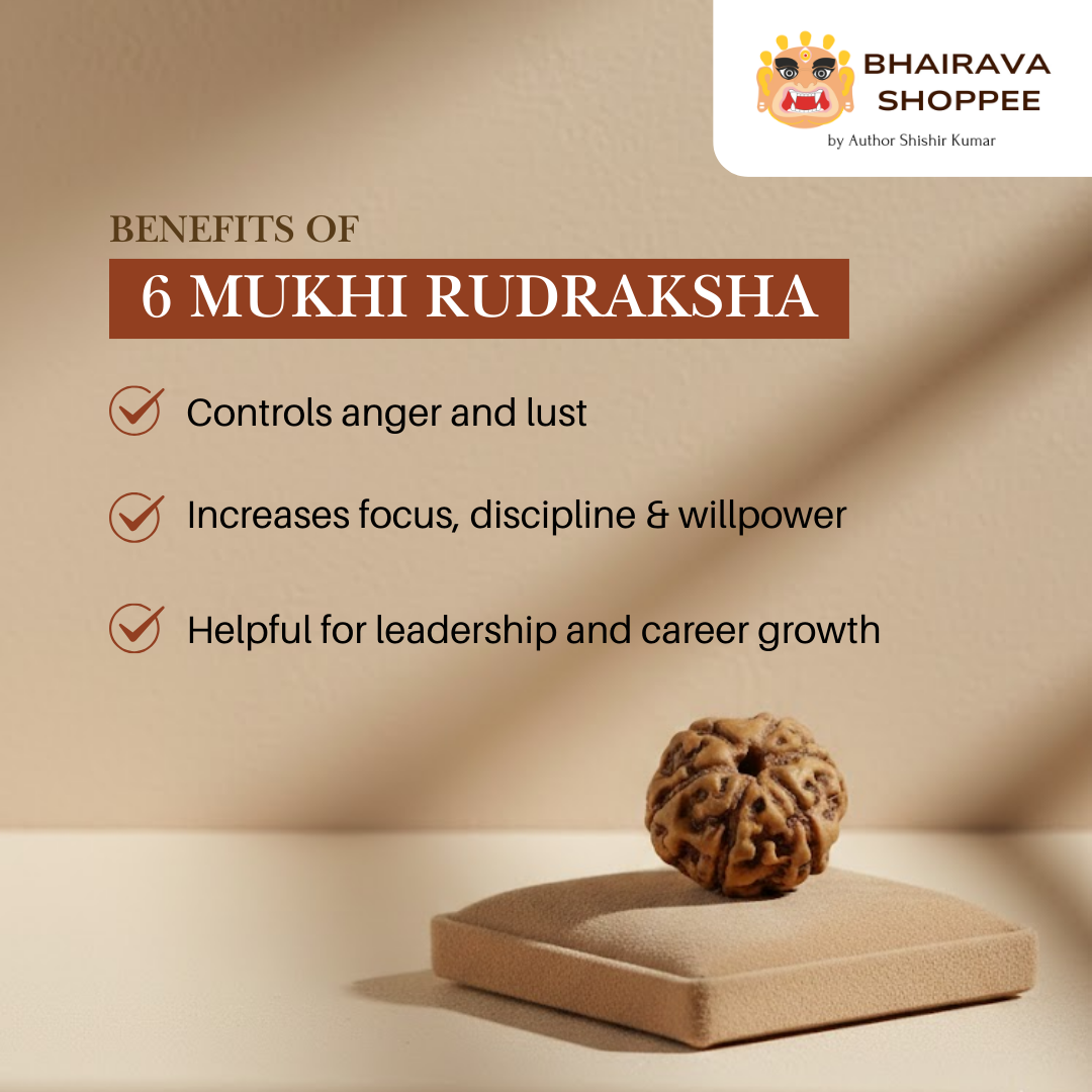 6 Mukhi Indonesian Rudraksha Bead | Siddha by Gurudev Rudranath Ji