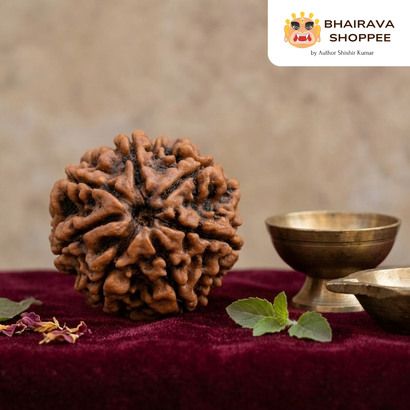 7 Mukhi Nepali Siddh Rudraksha | Rare Lakshmi Rudraksha for Wealth, Prosperity & Spiritual Growth