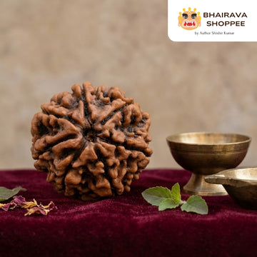 7 Mukhi Nepali Siddh Rudraksha | Rare Lakshmi Rudraksha for Wealth, Prosperity & Spiritual Growth