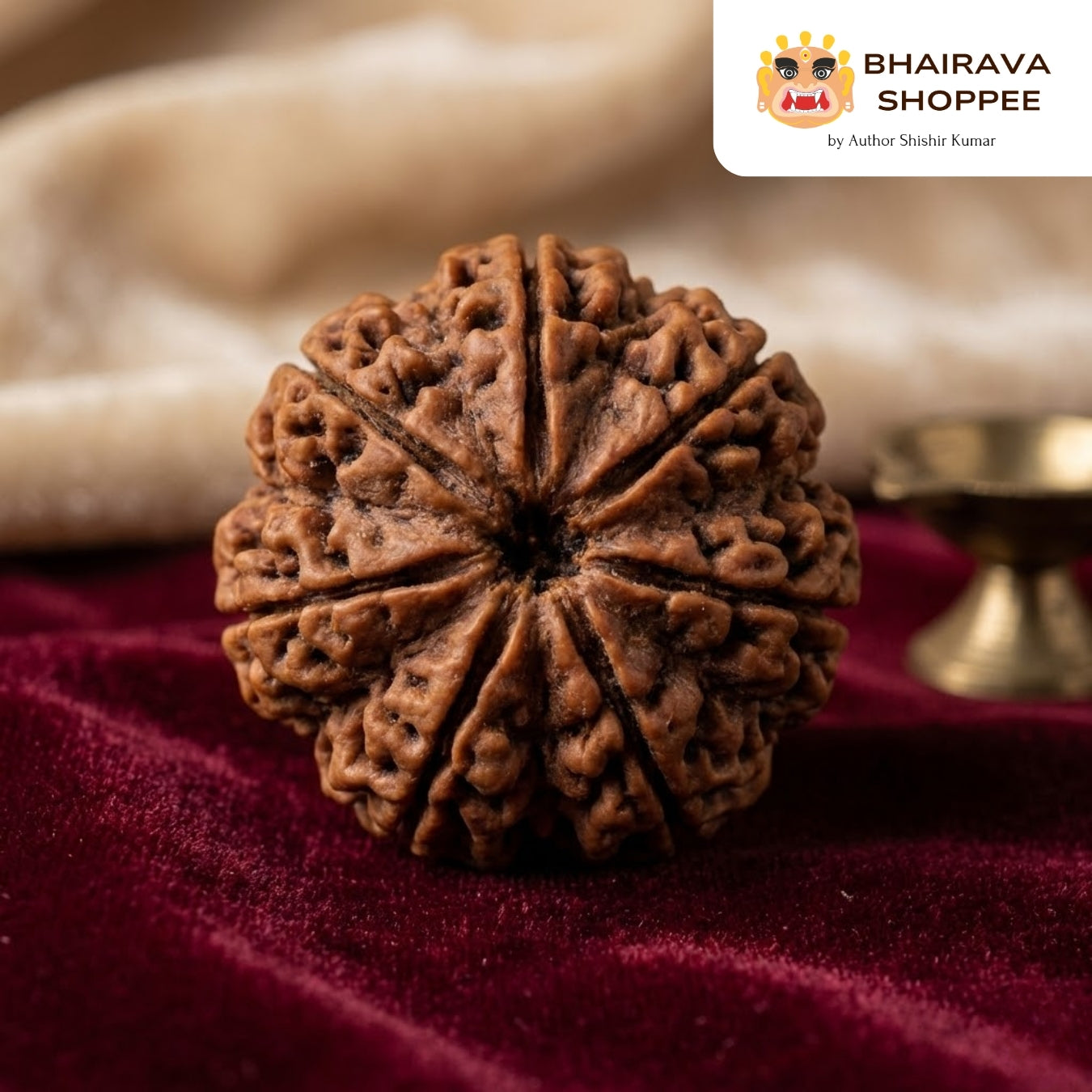 7 Mukhi Nepali Siddh Rudraksha | Rare Lakshmi Rudraksha for Wealth, Prosperity & Spiritual Growth