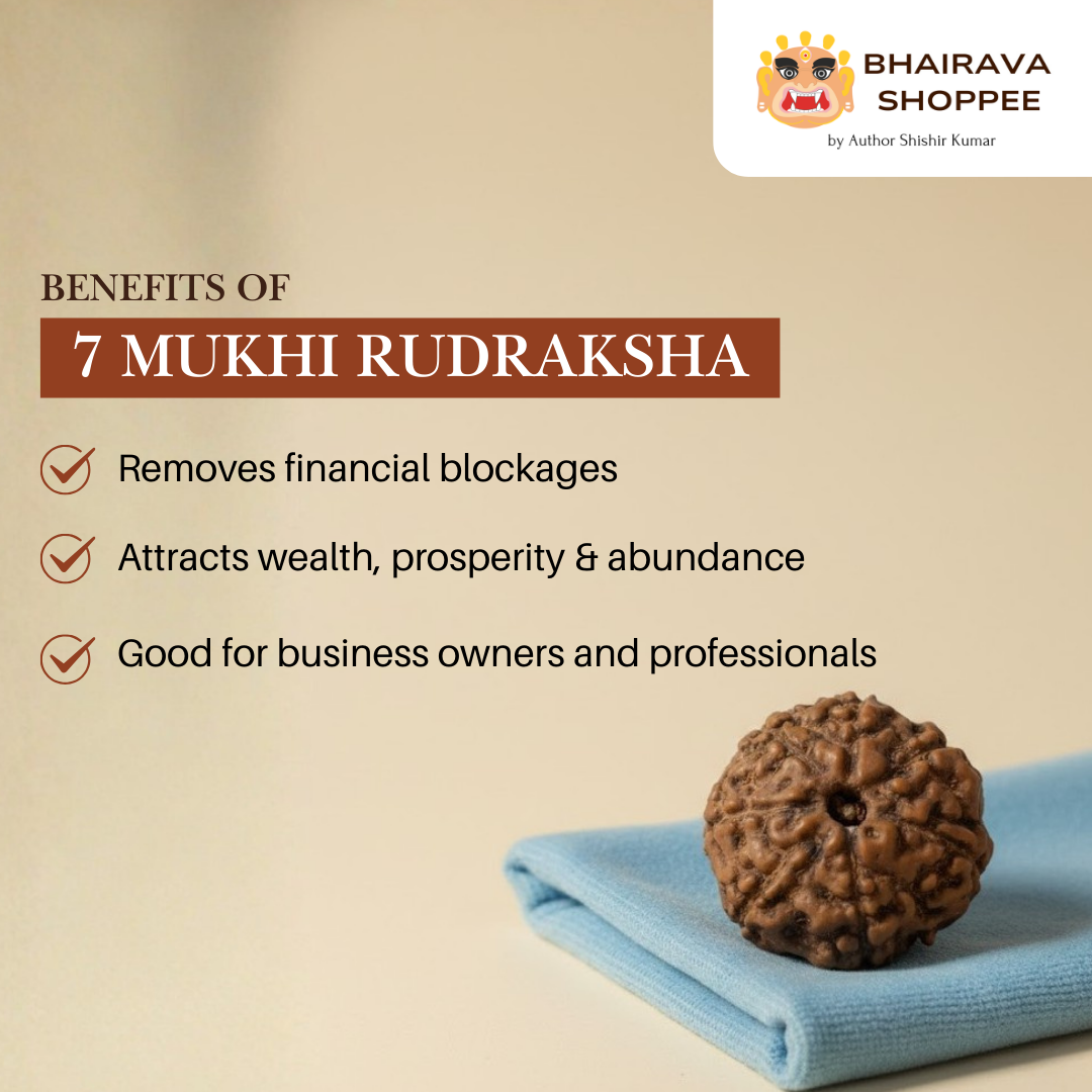 7 Mukhi Indonesian Rudraksha Bead | Siddha by Gurudev Rudranath Ji