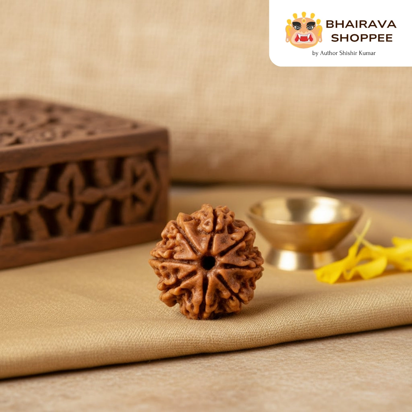 8 Mukhi Nepali Siddh Rudraksha | Rare Ganesh Rudraksha for Wisdom & Obstacle Removal