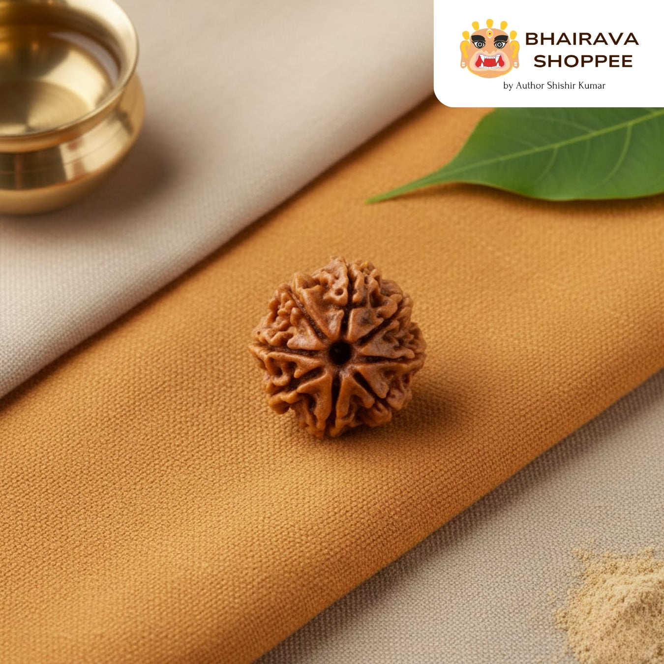 8 Mukhi Nepali Siddh Rudraksha | Rare Ganesh Rudraksha for Wisdom & Obstacle Removal