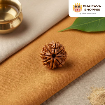 8 Mukhi Nepali Siddh Rudraksha | Rare Ganesh Rudraksha for Wisdom & Obstacle Removal