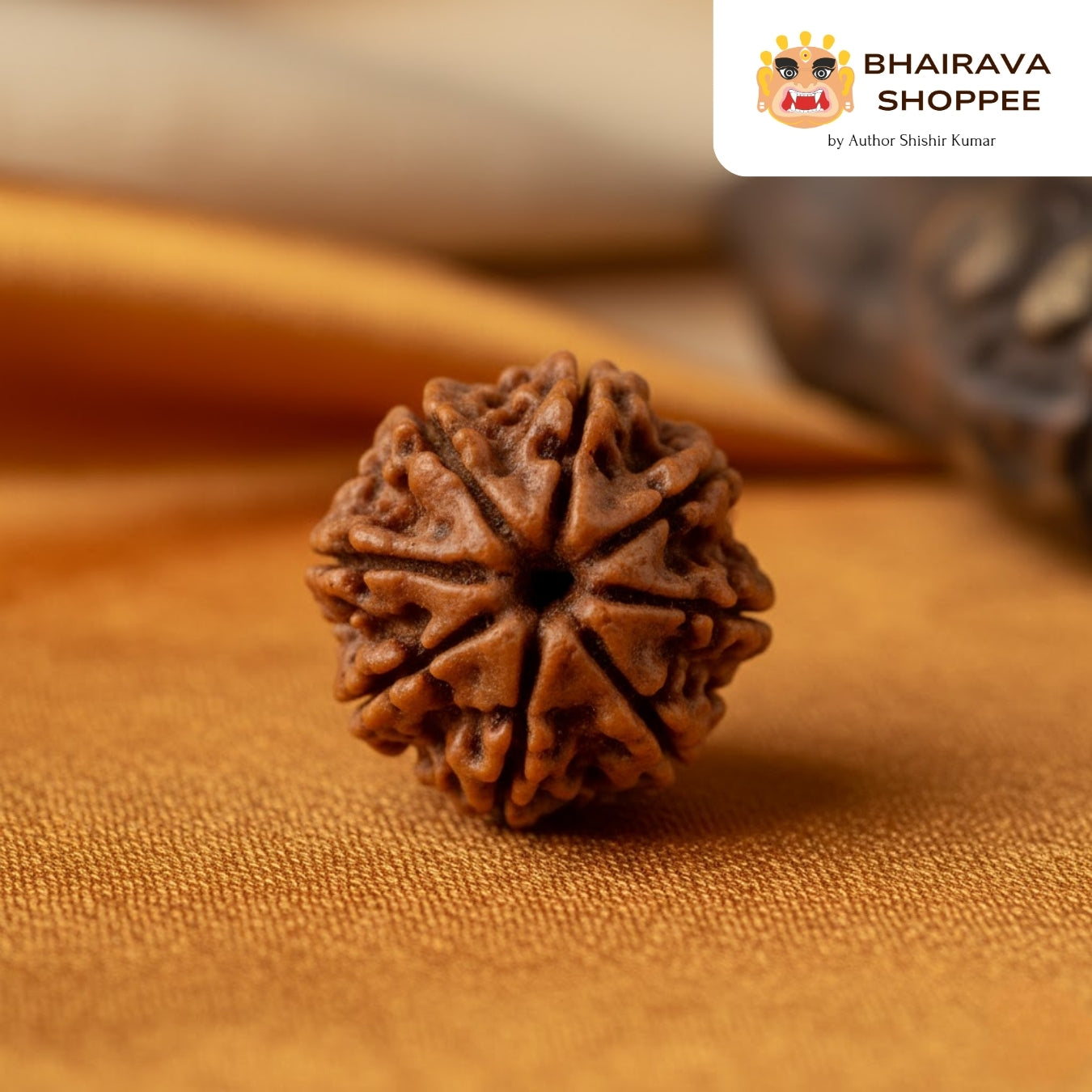 8 Mukhi Nepali Siddh Rudraksha | Rare Ganesh Rudraksha for Wisdom & Obstacle Removal