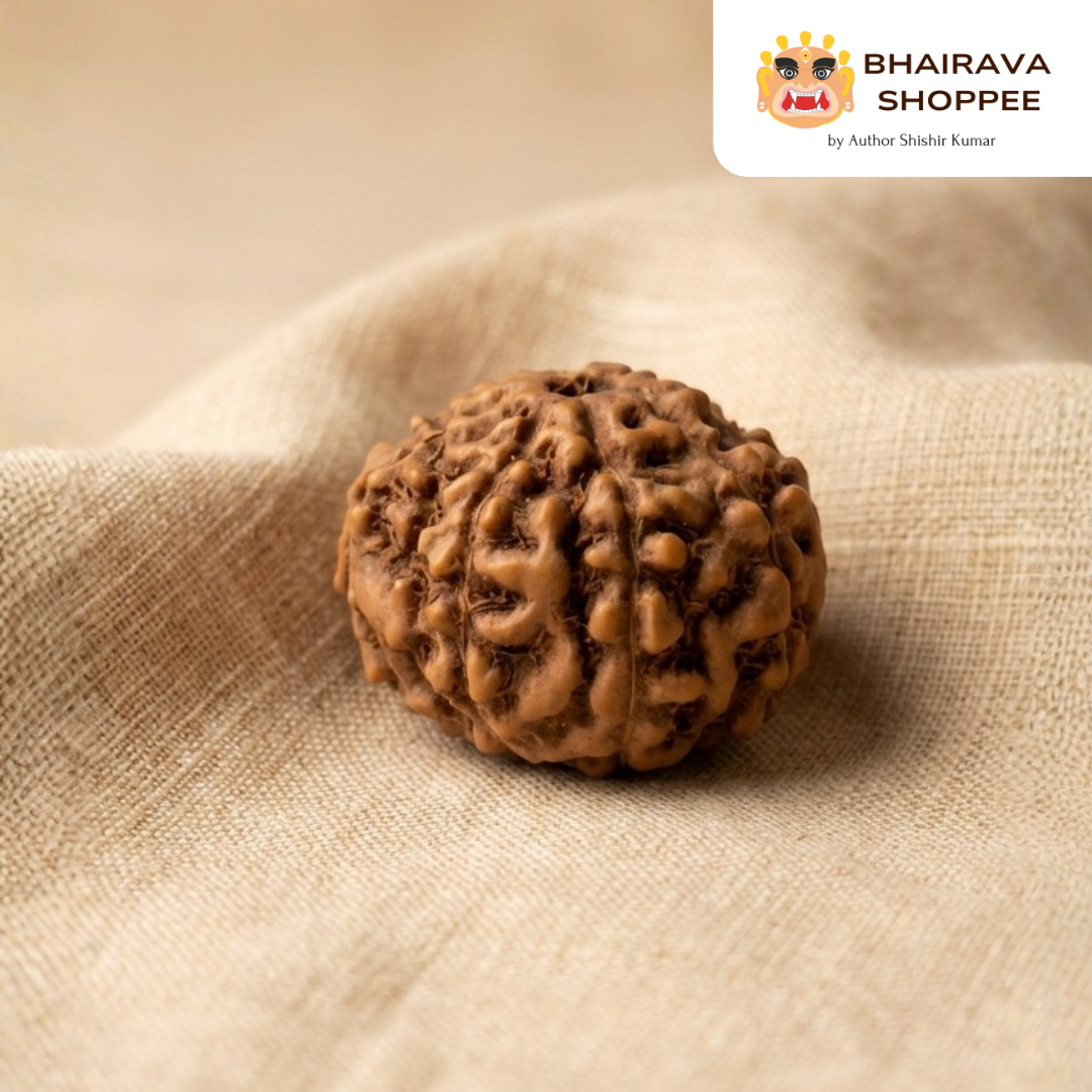 8 Mukhi Indonesian Rudraksha Bead | Siddha by Gurudev Rudranath Ji
