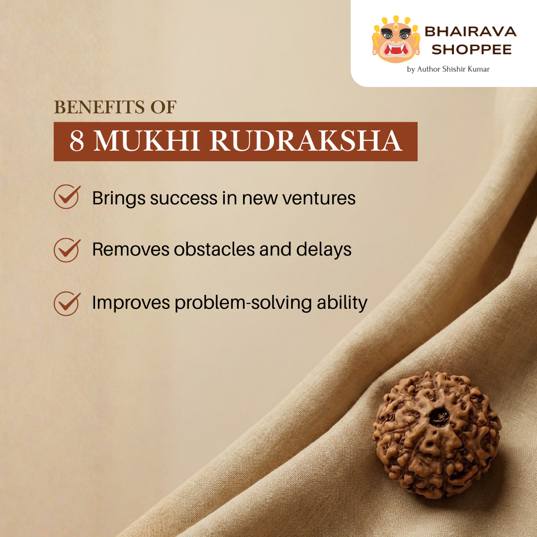 8 Mukhi Indonesian Rudraksha Bead | Siddha by Gurudev Rudranath Ji