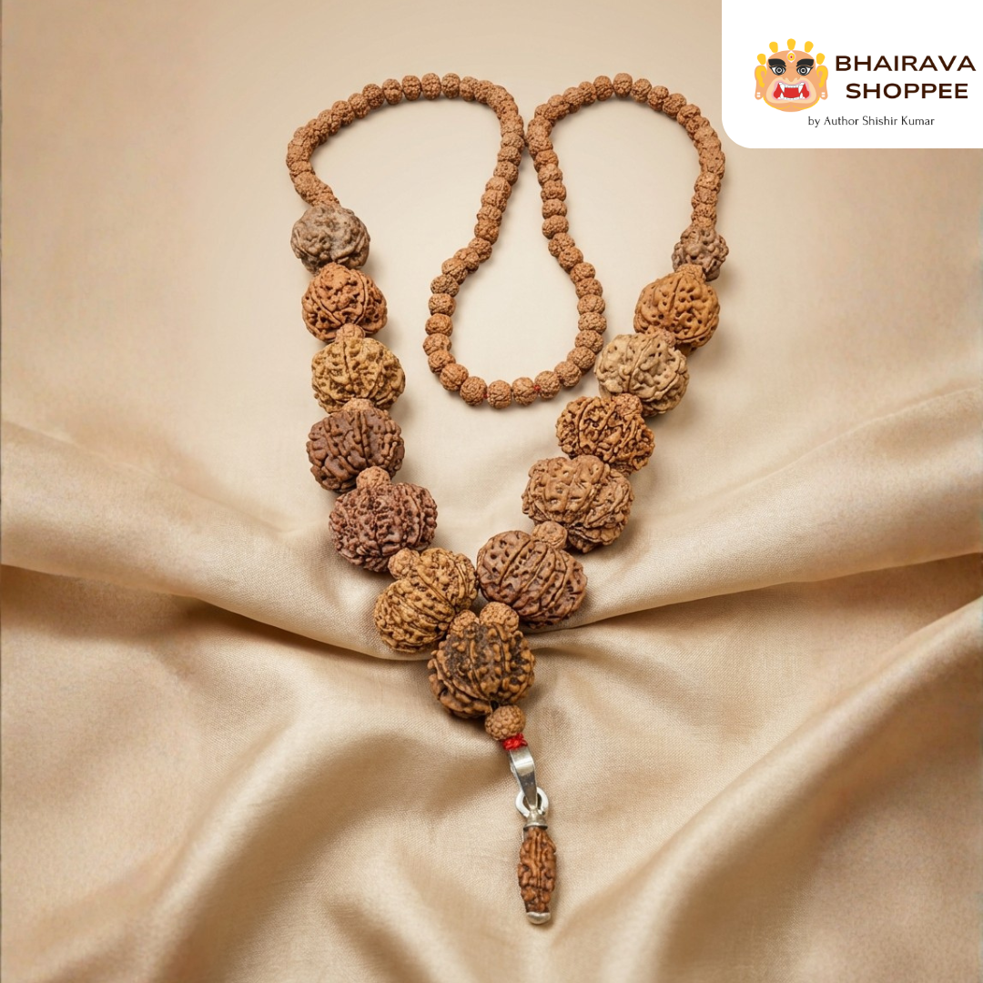 Siddha 1–14 Mukhi Nepali Rudraksha Mala | Sarva Siddha Shakti Mala