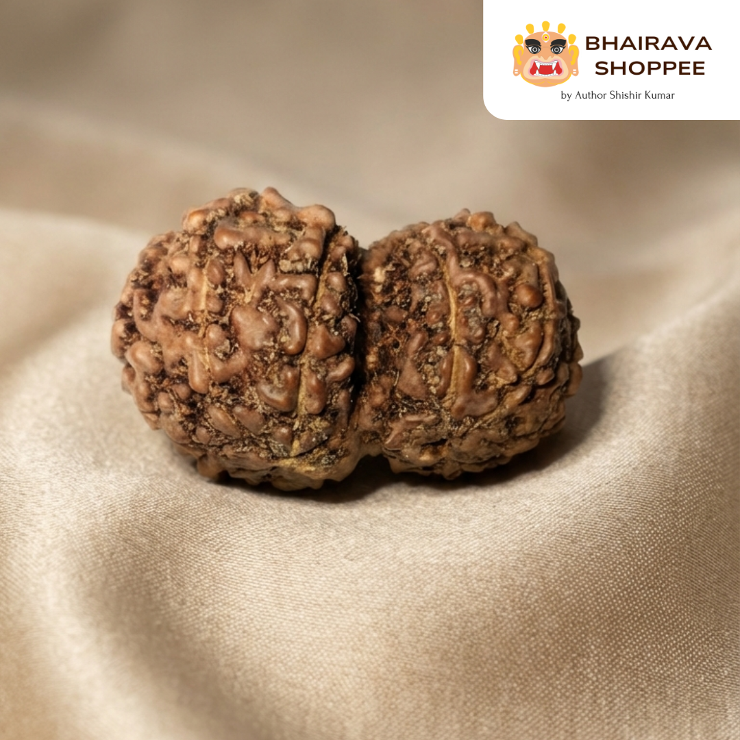 Indonesian Gauri Shankar Rudraksha Bead | Symbol of Divine Union | Siddha by Gurudev Rudranath Ji