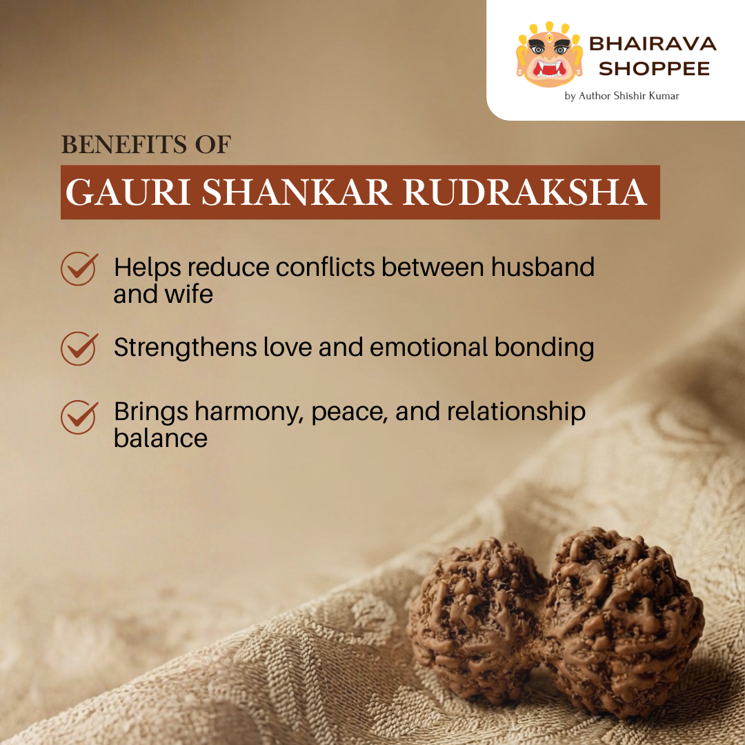 Indonesian Gauri Shankar Rudraksha Bead | Symbol of Divine Union | Siddha by Gurudev Rudranath Ji