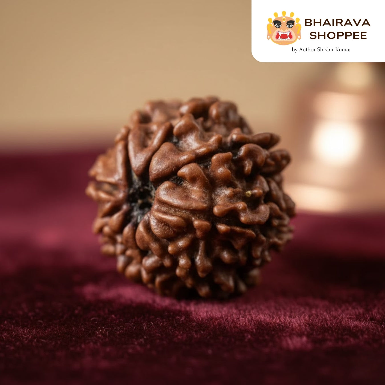 9 Mukhi Nepali Siddh Rudraksha | Rare Nav Durga Rudraksha for Power & Spiritual Awakening